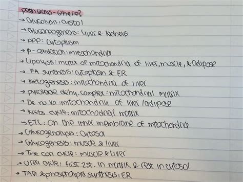 List Of Where All Pathways Occur Rmcat