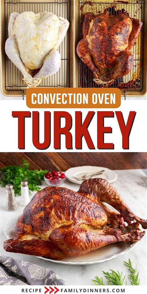 How To Cook A Turkey In A Convection Oven Oven Turkey Recipes Roast