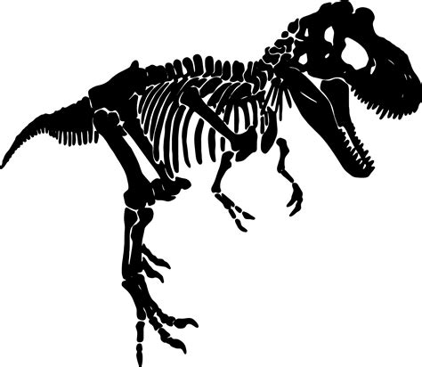 Silhouette Dinosaur Skeleton Svg 108 SVG PNG EPS DXF File