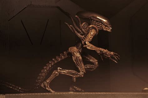 Alien Resurrection Alien Warrior Available Now From NECA The