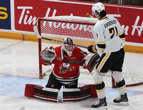 Icedogs Wrap Up Season With Loss Bp Sports Niagara