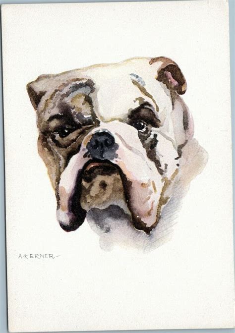 Pin On Mostly Vintage Bulldog Pictures And Postcards 4