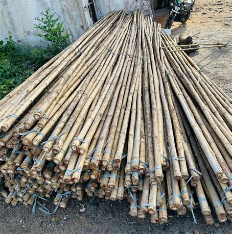 Long Round 18 Feet Raw Bamboo Poles For Use For Furniture Thickness