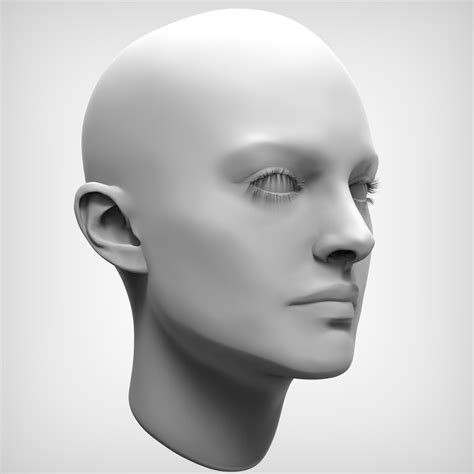 Beauty Female Head 3D Model 70 Obj Ztl Free3D