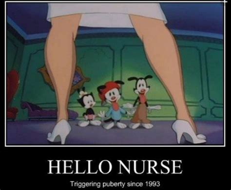 Feeling Meme Ish Animaniacs Tv Galleries Paste