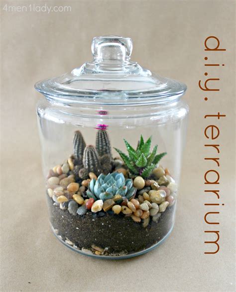 Bring The Outdoors In With Your Own Diy Terrarium Perfect The Cat