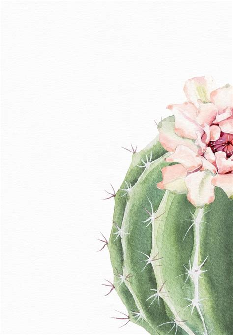 Cactus Decor Cactus Printable Set Pastel Cactus Art Botanical Print