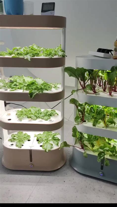 Agricultural Greenhouses Vertical Farming Aeroponics System Hydroponic