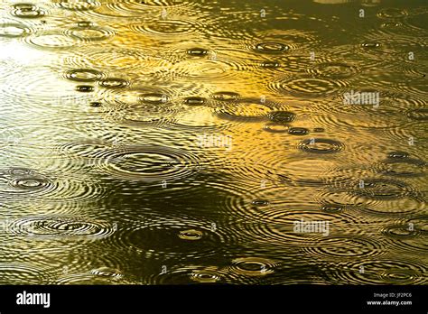 Rain Drops Falling In A Pool Of Sunlit Water Creating Circle Patterns