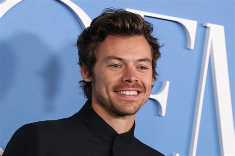 Is Harry Styles Currently Single 2024 Timmy Claudine