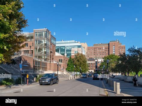 Campus of the University of Minnesota, Minneapolis, Minnesota, USA ...