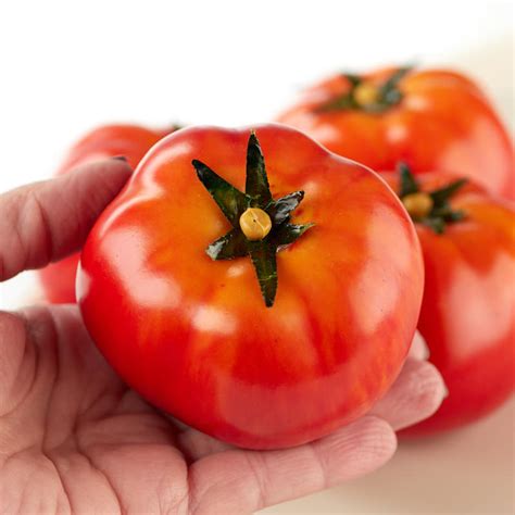 Realistic Artificial Tomatoes Vase And Bowl Fillers Home Decor