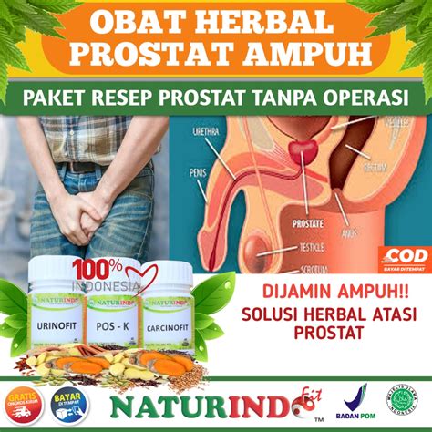 Jual Obat Herbal Prostat Paling Ampuh Menyembuhkan Bengkak Penyakit Kanker Prostat Melancarkan