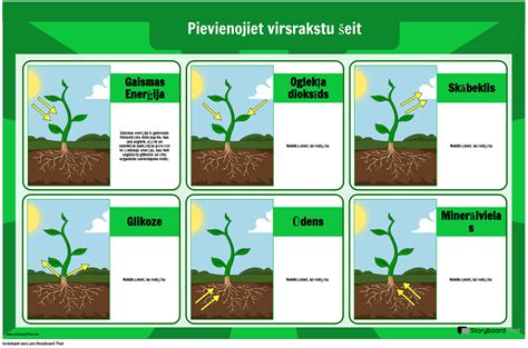 Fotosint Zes Plak Ta Veidne Storyboard Por Lv Examples