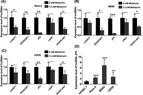 Expression Level Of LncRNA JPX In OS Cell Lines AC The Expression