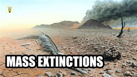 The Five Major Mass Extinction Events On Earth Youtube