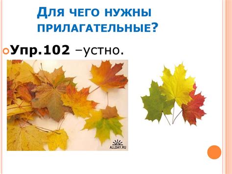 Имя прилагательное - презентация онлайн