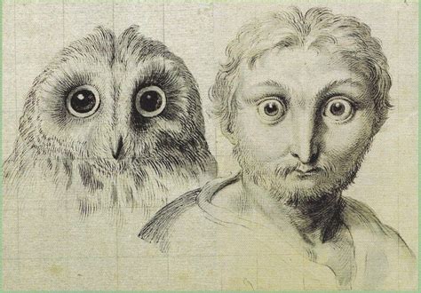 Charles Le Brun The Relationship Between A Human Head And An Owls