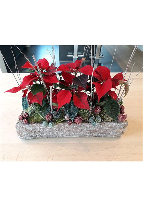 Poinsettia Christmas Flowers Arrangement Anne Duchateau Europe