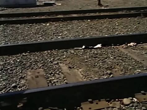 Ginger Lynn Porn Videos 2025 Porn Star Sex Scenes XHamster