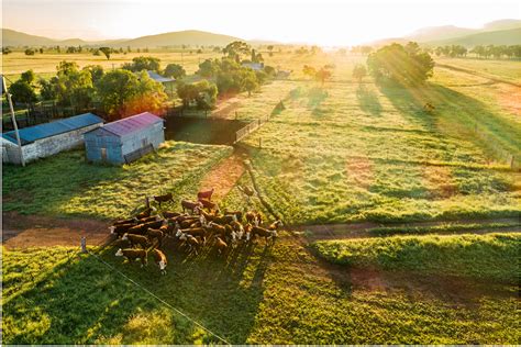 Agriculture On A Roll But Where To Next Daff