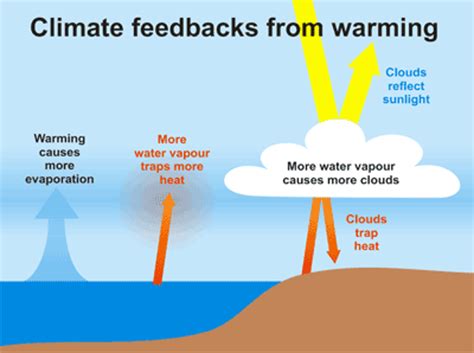 Negative Feedback Loop Climate