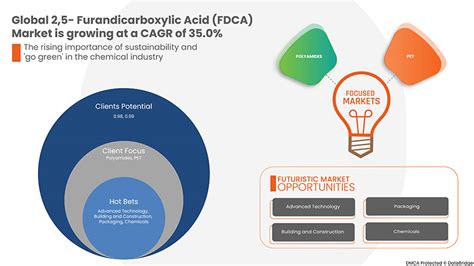 2 5 Furandicarboxylic Acid FDCA Market Scope Dynamics 2028