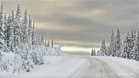 Northern Interior British Columbia: Winter's December 2015 Snowfall 3 ...