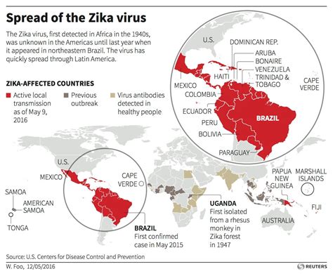 WHO Warns That The Zika Virus May Soon Spread To Europe Business Insider