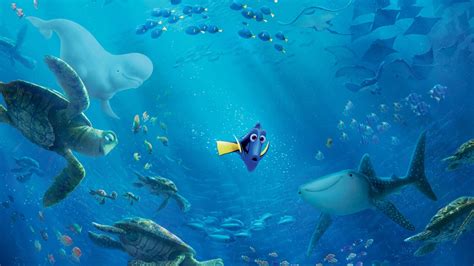 Finding Nemo Wallpapers 1920x1080 Wallpaper Teahub Io