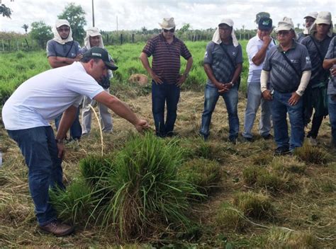 Senar Leva ABC Do Cerrado Em Dia De Campo Em Fazenda De Bacabal