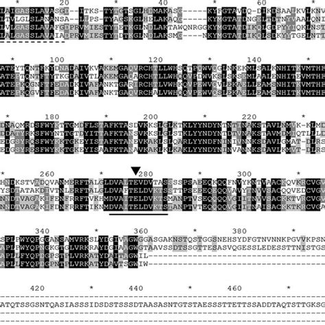 Multiple Sequence Alignment Of Deduced Amino Acid Sequences From