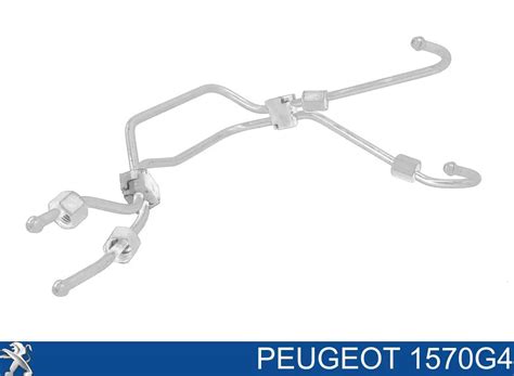 1570G4 Peugeot Citroen Juego De Tuberias Para Combustibles