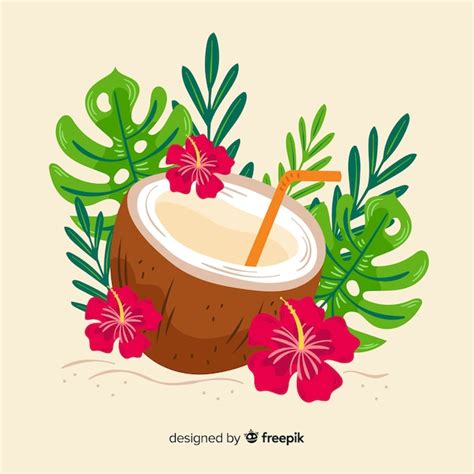 Ilustraci N De Coco Dibujado A Mano Vector Gratis