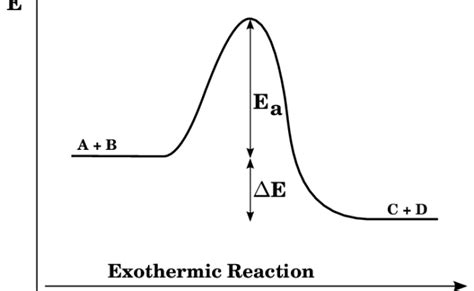 How To Draw Energy Profile Diagram And Energy Level Diagram Of Exothermic And Endothermic