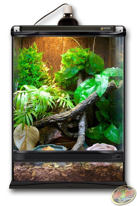 26 Salamander Terrarium And Vivarium Landscapes Ideas Vivarium