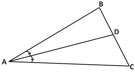 Special Segments In Triangles Worksheet