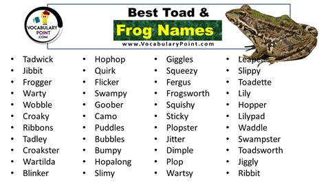 Frog Names (Best, Funny, Cute, Male & Female) - Vocabulary Point