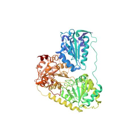 Rcsb Pdb 2pgn The Crystal Structure Of Fad And Thdp Dependent