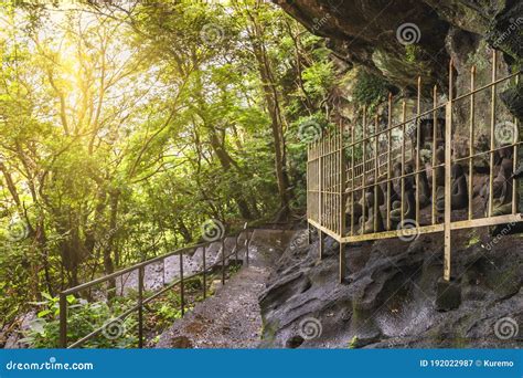 Escaleras Húmedas Y Estatuas Budistas En Las Cavidades De La Cantera De