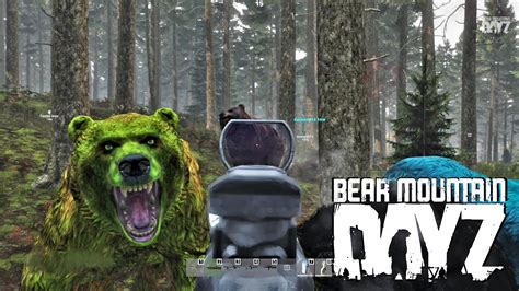 Bear Hunting Bear Mountain DayZ Teamwork YouTube