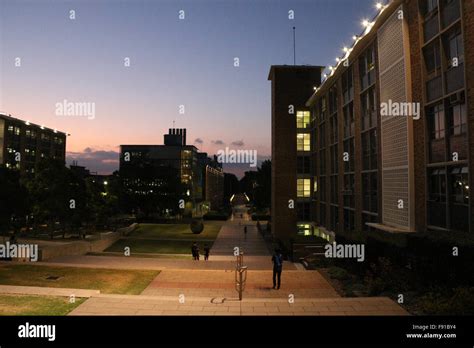 University Of New South Wales Unsw In Kensington Sydney Australia