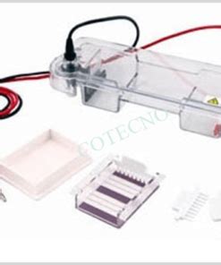 Electroforesis Horizontal Bell Elechoriz Cotecno Equipamiento