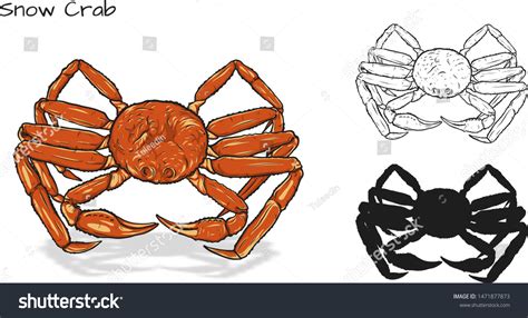 Crab Vector By Hand Drawingcrab Silhouette Stock Vector Royalty Free