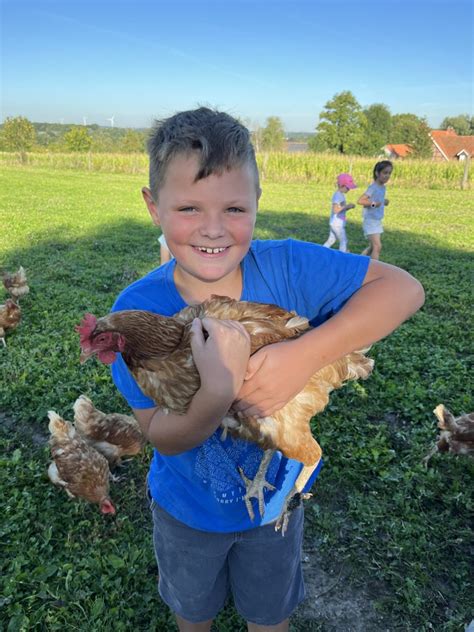 Besuch Auf Dem Bauernhof Overbergschule Hamm