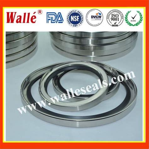 China Elringklinger Hn Ptfe Rotary Shaft Seals China Ptfe Rotary