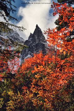 Idee Su Autumn Colors Paesaggi Paesaggio Autunnale Natura