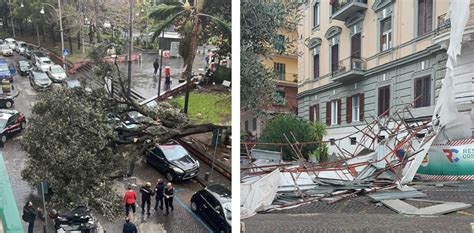 Vento Forte A Napoli Albero Cade In Piazza Cavour Impalcatura Crolla