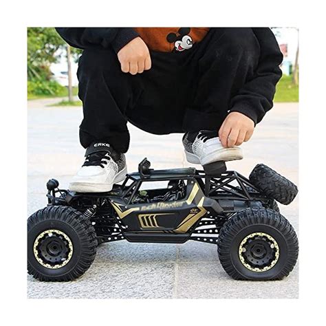 HEBXMF RC Cars Camion RC Tout Terrain à Grande Vitesse 4WD Buggy R