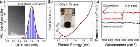 A Example Tem Image Of As Synthesized Colloidal Pbs Qds With The